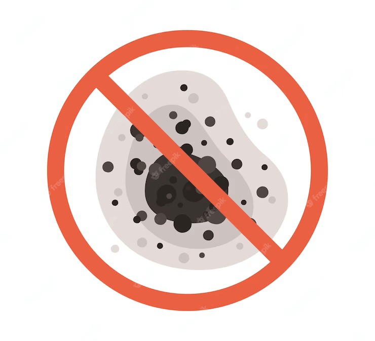 photo fungus cleaning service